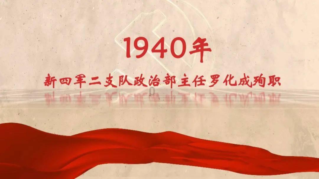 蚂蚁能吃么-专业知识问答网页